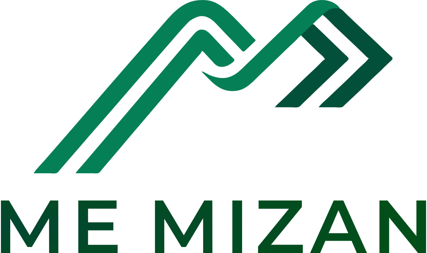 Project Management for Complex Developments | Me Mizan